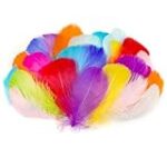 Las Mejores Plumas para Comprar: Análisis y Comparativa de Ropa y Complementos para el Invierno Las Mejores Plumas para Comprar: Análisis y Comparativa de Ropa y Complementos para el Invierno