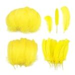 Plumas Amarillas: Análisis y Comparativa de las Mejores Prendas y Complementos para Este Otoño Plumas Amarillas: Análisis y Comparativa de las Mejores Prendas y Complementos para Este Otoño
