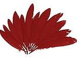 Plumas Rojas: Análisis y Comparativa de las Mejores Opciones en Ropa y Complementos para Este Otoño Plumas Rojas: Análisis y Comparativa de las Mejores Opciones en Ropa y Complementos para Este Otoño
