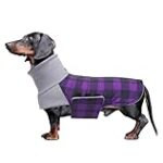 Guía Definitiva: Análisis y Comparativa de la Mejor Ropa y Complementos para Perros Teckel