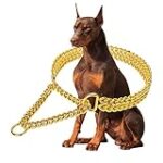Los Mejores Collares Dorados para Perros: Análisis y Comparativa de Estilo y Calidad Los Mejores Collares Dorados para Perros: Análisis y Comparativa de Estilo y Calidad