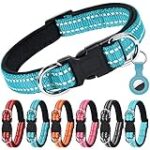 Los Mejores Collares para Perros: Análisis y Comparativa de Estilo y Comodidad Los Mejores Collares para Perros: Análisis y Comparativa de Estilo y Comodidad