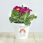 Guía Completa: Análisis y Comparativa de la Mejor Ropa y Complementos para Madres en la Comunión de sus Hijos