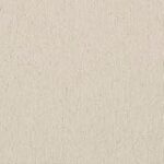 Loneta Exterior: Análisis Comparativo de las Mejores Opciones en Ropa y Complementos para el Aire Libre